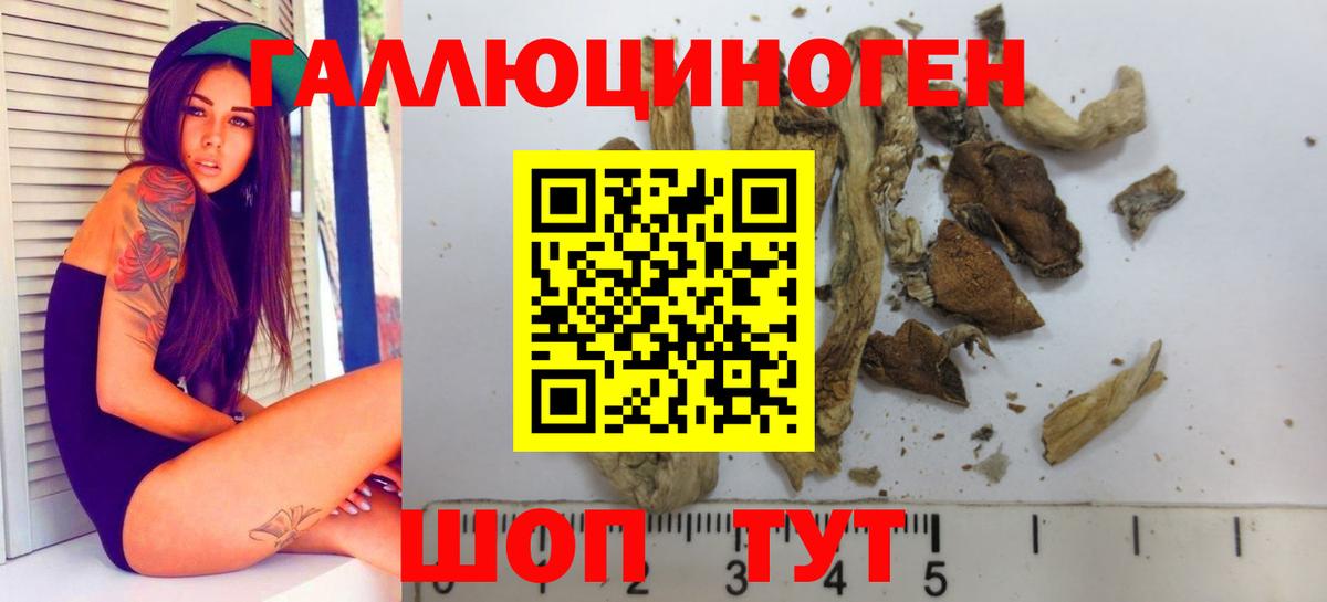 Галлюциногенные грибы Cubensis Благодарный